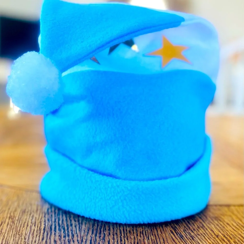 Argentina Flag Christmas Hat
